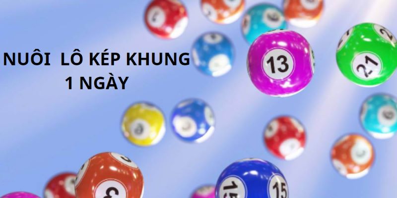 Giới thiệu về lô kép khung 1 ngày
